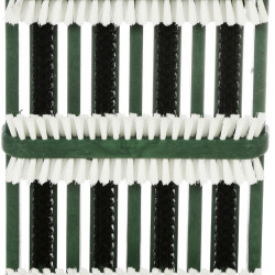 Tennis shoe brush