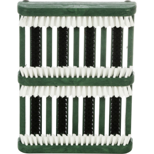 Tennis shoe brush